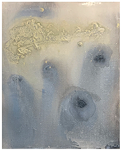 木村有沙展～ようなもの～